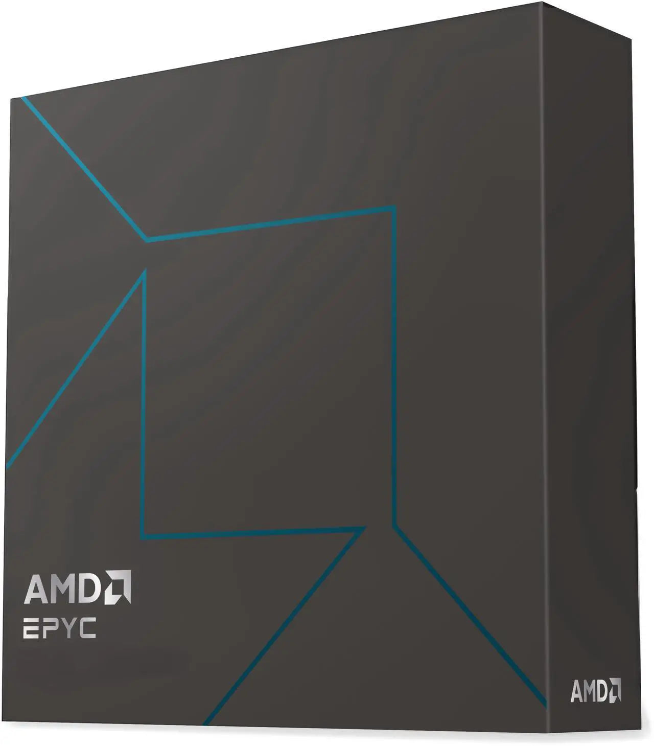 AMD EPYC 4545P Zen 5 16-Core CPU 5.4GHz AM5 65W 64MB - Boxed (100-100001764WOF)
