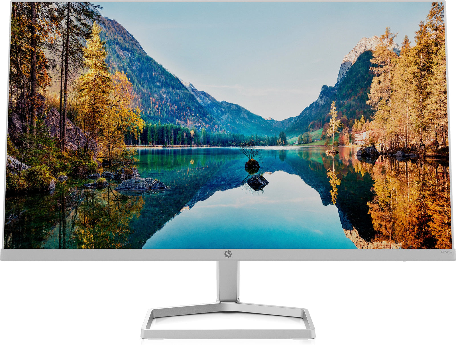 HP M24fw 24 inch FHD Monitor with AMD FreeSync Technology, Eyesafe certification ,1 VGA, 1 HDMI 1.4 2D9K1AA#ABA