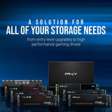 PNY SSD7CS900-250-RB CS900 250GB 3D NAND 2.5" SATA III Internal Solid State Drive (SSD)
