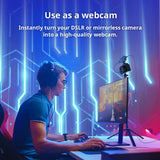 AVerMedia BU113G2 CamStream 4K White 4K60 HDMI Capture Card-DSLR,Camcorder,Action Camera,Low Latency for Streaming & VC